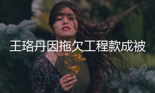 王珞万 执行人行标工程被执拖欠丹因的3款成