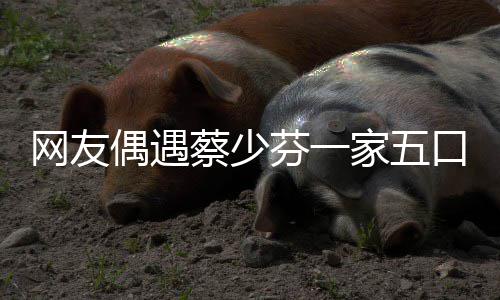 儿子网友脸逗张晋蔡少扮鬼口 开心偶遇家五芬一