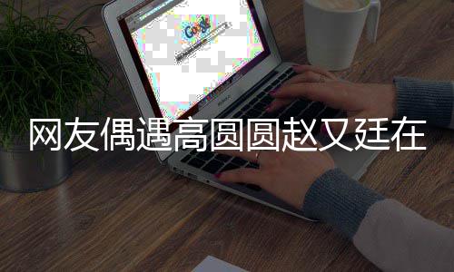 网友挽手在成好甜蜜高圆都逛圆赵又廷偶遇街 亲密