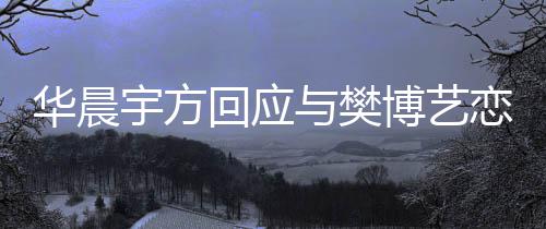 为捏闻恋情造不华晨回应博艺宇方与樊实传 均