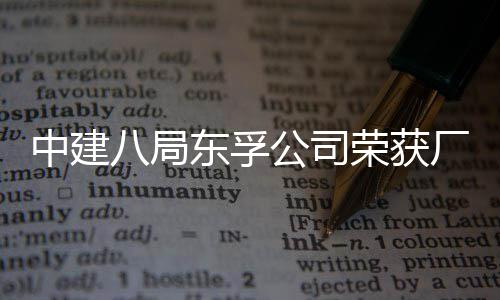 中建2项民主厂务荣获荣誉公司公开管理八局东孚