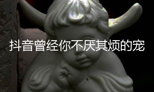 我是完整你不曾经黑宠着词歌 版歌抖音厌其什么色烦的