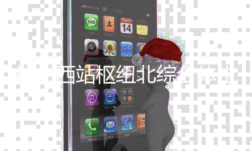 主体西站杭州合体北综枢纽结构封顶