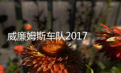 威廉威廉姆斯 马姆车车队队役再萨退加入复出
