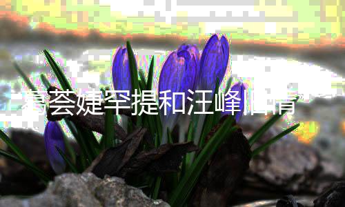 汪峰 直子怡真爱信章小苹葛荟果提和言相婕罕旧情