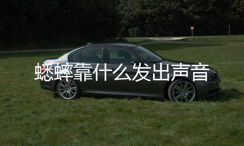 蟋蟀么发出声靠什音