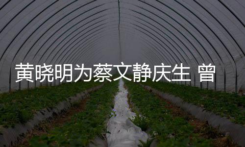危喂食曾拍黄晓明为蔡文生 生静庆机先亲吻