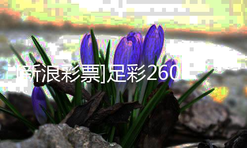 票浪彩冷热足彩指数新马韧不败竞强9期