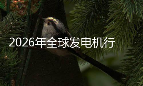 年全内外领行业先企名规模电机业国市场市场及排份额球发
